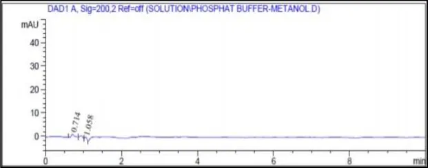 Figure 3. Chromatogram wavelengths 200 nm of phosphat buffer-metanol solution 