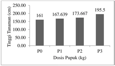 Tabel 1. menunjukkan bahwa pengaruh interaksi antara dosis pupuk vermikompos dan  varietas  jagung  lokal  tidak  berbeda  nyata  terhadap  tinggi  tanaman  jagung
