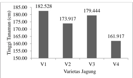 Gambar  2.  Pengaruh  varietas  jagung  terhadap  pertumbuhan  tinggi tanaman jagung (UJD;α= 5%)