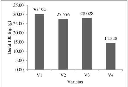 Gambar 4. Pengaruh varietas jagung terhadap berat 100 biji  jagung (UJD;α= 5%). 