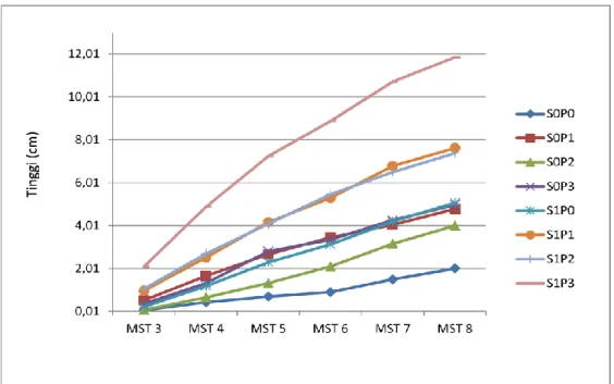 Grafik 1. Pertumbuhan tinggi tanaman sirsak hingga 8 mst. 