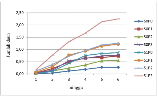Grafik 2. Pertumbuhan Jumlah daun tanaman sirsak hingga 8 mst. 