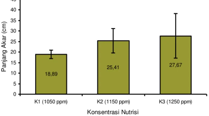 Gambar 2.  Respon panjang akar terhadap berbagai konsentrasi nutrisi pada umur 42 hst