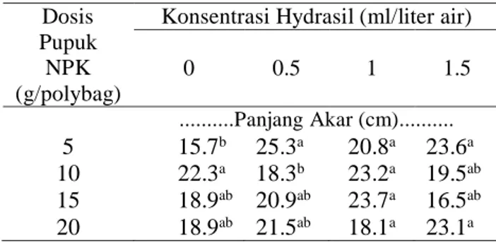 Tabel 6. Rata rata panjang akar terhadap pemberian  kombinasi Pupuk NPK dan Auksin 2.4-D  Dosis 