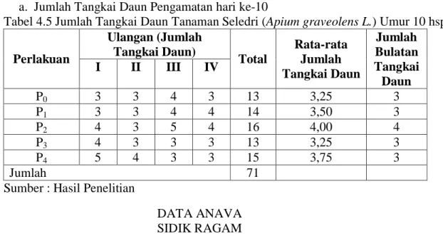 Tabel 4.5 Jumlah Tangkai Daun Tanaman Seledri (Apium graveolens L.) Umur 10 hsp.  Perlakuan  Ulangan (Jumlah Tangkai Daun)  Total  Rata-rata Jumlah  Tangkai Daun   Jumlah  Bulatan Tangkai  Daun I II III IV  P 0 3  3  4  3  13  3,25  3  P 1 3  3  4  4  14  