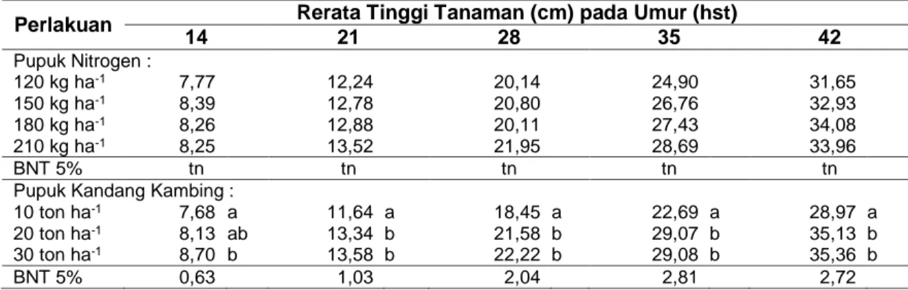 Tabel 1 Rerata Tinggi Tanaman Kubis Bunga pada Aplikasi Pupuk Nitrogen dan Pupuk Kandang  Kambing 