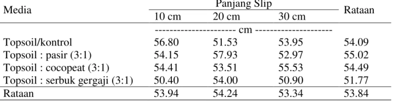Tabel 4. Rataan panjang akar (cm) pada perlakuan media tanam dan panjang slip bahan tanaman 