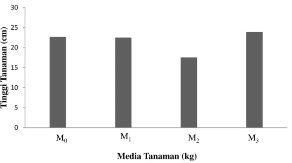 Gambar  1.  Histogram  tinggi  tanaman  umur  5  MST  terhadap  pemberian  berbagai  media tanam 