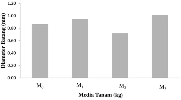Gambar  2.  Histogram  diameter  batang  umur  5  MST  terhadap  pemberian                                             berbagai media tanam 