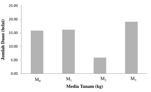Gambar 3. Histogram jumlah daun umur 5 MST terhadap pemberian berbagai                       media tanam 