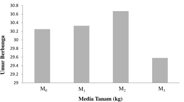 Gambar 4.  Histogram umur berbunga umur 5 MST terhadap pemberian berbagai            media tanam