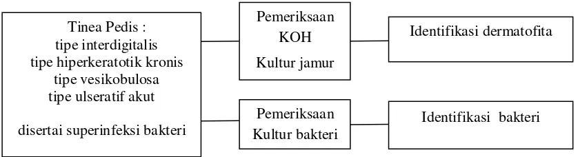 Gambar 2.3. Kerangka Konsep 