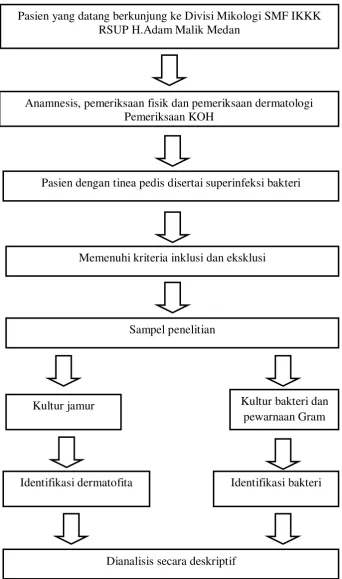 Gambar 3.1 Kerangka operasional 