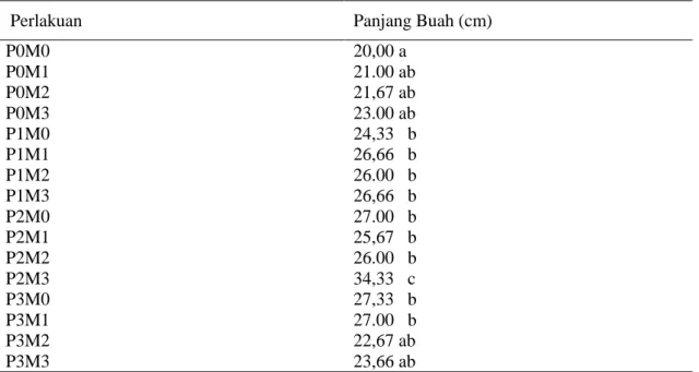 Tabel  3 Pengaruh kombinasi pemberian pupuk kandang kambing dan pupuk npk terhadap panjang  buah terung hijau