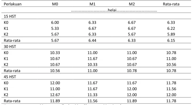 Tabel 1 dan Tabel 2 memperlihatkan  bahwa  pemberian  kompos,  FMA,  dan  interaksinya  tidak  memberikan  berpengaruh  nyata  pada  masa  pertumbuhan  vegetatif  tanaman  jagung,  baik pada tinggi tanaman umur 15, 30, dan  45 HST maupun jumlah daun umur 1
