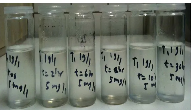 Figure 3. Samples after centrifugation 
