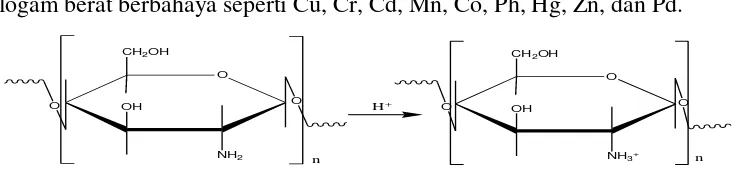 Gambar 2.3 Kitosan sebagai polielektrolit kationik (Sugita, 2009) 