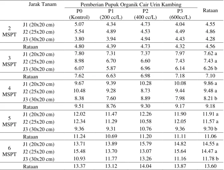 Tabel 1. Rataan tinggi tanaman(cm) 2±6 MSPT pada pemberian pupuk organik cair urin kambing dan  perlakuan jarak tanam 
