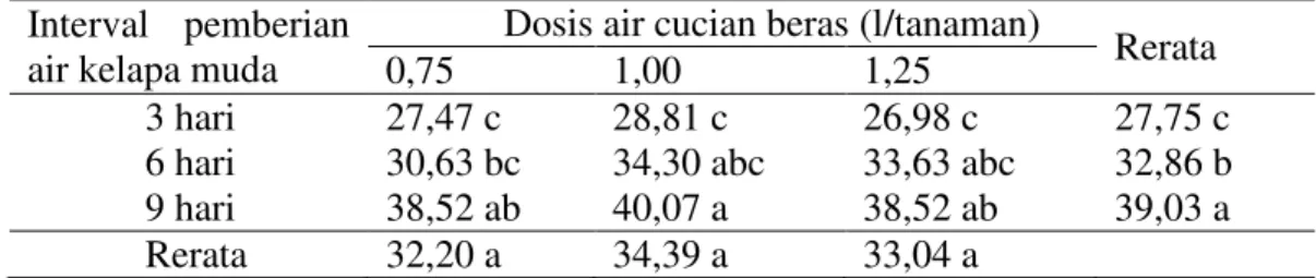 Tabel 2. Tinggi batang (cm) dengan interval pemberian air kelapa muda dan dosis  air cucian beras