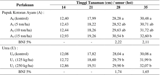 Tabel 1. Rata-rata tinggi tanaman bawang daun (cm) umur 14, 21, 28 dan 35 hst 