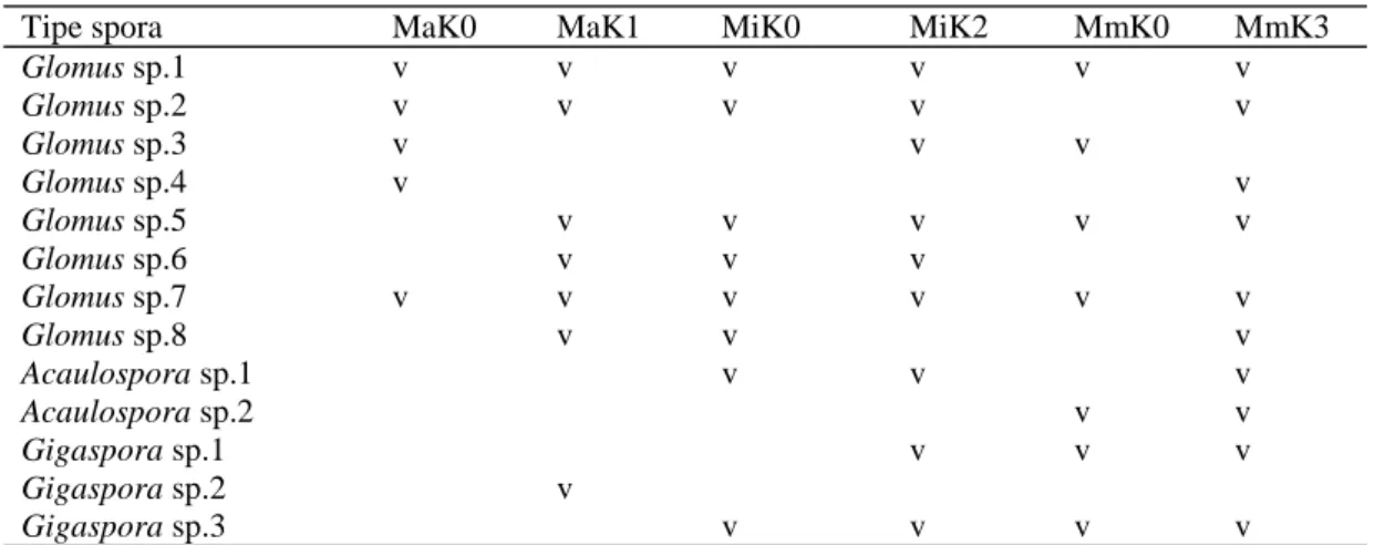 Tabel 5 Tipe genus spora FMA yang terdapat pada perlakuan kombinasi FMA dan pengapuran tanaman  aren di lahan pasca tambang 