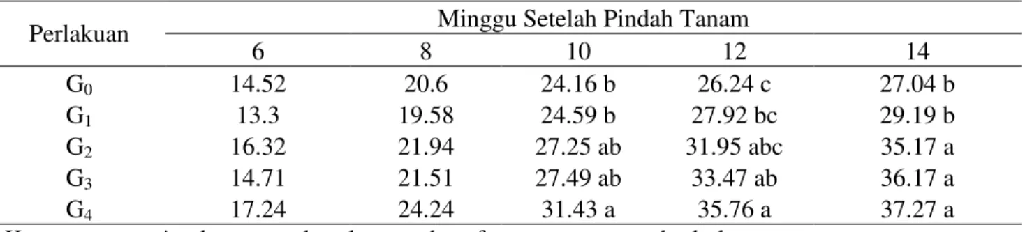 Tabel 1. Rataan Tinggi Bibit (cm) dengan Pemberian Giberellin Umur 6-14 MSPT 