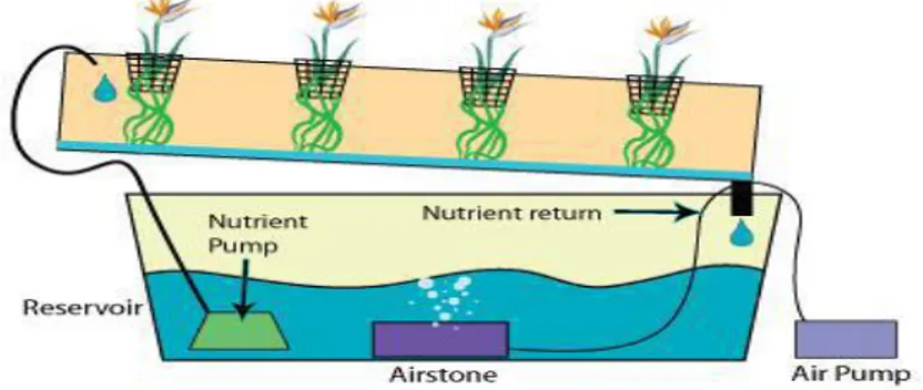 Gambar 2.1 Nutrient Film Technique (NFT)  2)  Drip-Irrigation atau Micro-Irrigation  