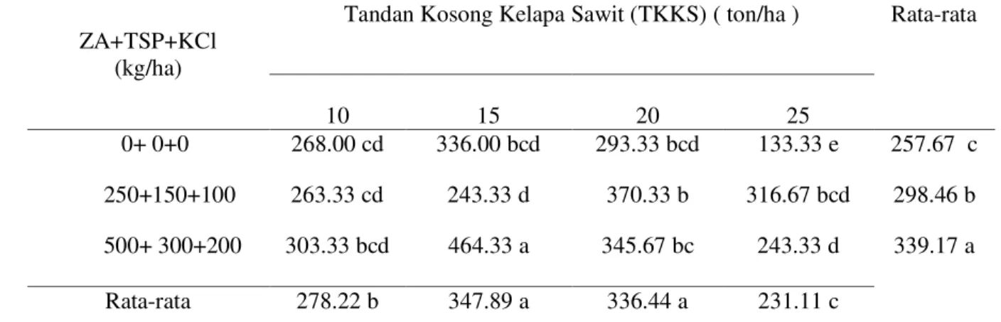 Table 5.  Rata-rata  berat  kering  tanaman  bawang  merah  dengan  pemberian  kompos tandan kosong kelapa sawit dan pupuk NPK 
