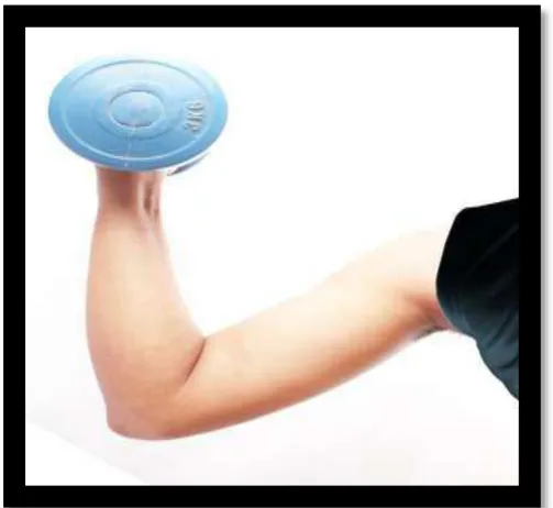Gambar 3.5 – Sketsa Obesitas – Simple Work Out   