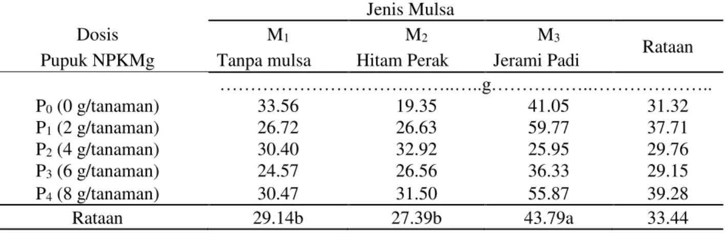 Tabel  8  menunjukkan  bobot  kering  umbi  per  plotterbesar  diperoleh  pada  perlakuan  jenis  mulsa  jerami  padi  dengan  bobot  43,79  g  dan  terendah  pada  pemberian  mulsa  hitam  perak  dengan  bobot  27,39  g