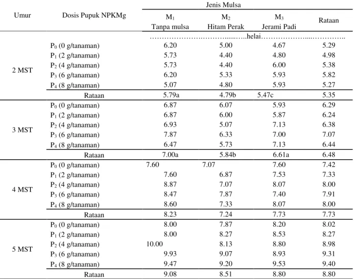 Tabel  2.  Jumlah  daun  per  rumpun  tanaman  bawang  merah  umur  2-5  MST  pada  perlakuan  pemberian pupuk NPKMg dan jenis mulsa 
