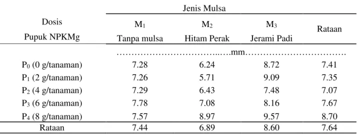 Tabel  4.Diameter  umbi  per  sampel  tanaman  bawang  merah  pada  perlakuan  pemberian  pupuk  NPKMg dan jenis mulsa 
