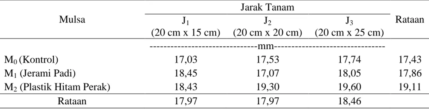 Tabel 4. Diameter umbi per sampel pada perlakuan pemberian mulsa dan pengaturan jarak tanam  Mulsa  Jarak Tanam  Rataan  J 1    (20 cm x 15 cm)  J 2    (20 cm x 20 cm)  J 3    (20 cm x 25 cm)  -------------------------------mm------------------------------