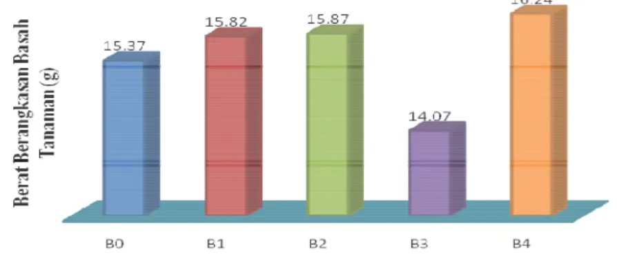 Gambar  3.  Grafik  pengaruh  pemberian  zat  pengatur  tumbuh  terhadap  rata-rata  bobot  berangkasan basah tanaman 