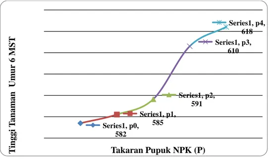 Gambar 1. Tinggi tanaman jagung manis  umur 6 MST sebagai  pengaruh  dosis pupuk NPK  (p0=0% atau tanpa pupuk; p1=25% dari dosis anjuran; p2=50% dari dosis  anjuran; p3=75% dari dosis anjuran; p4=100% dari dosis anjuran)