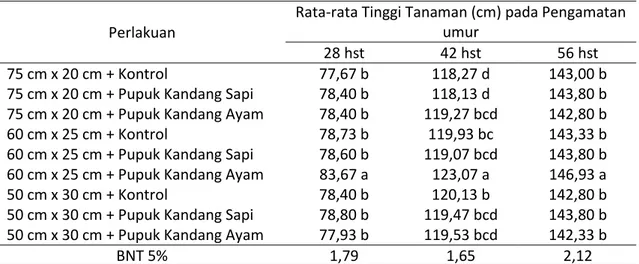 Tabel 1. Rata-rata Tinggi Tanaman (cm) Pada Umur 28 Hst, 42 Hst dan 56 Hst. 