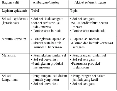 Tabel 2.2 Perbedaan anatomi pada dermis (Mitsui, 1997). 