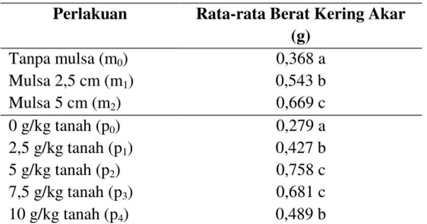 Tabel  4  memperlihatkan  juga  bahwa  perlakuan  pemberian  pupuk  kohe5  g/kg  tanah  (p 2 )  menghasilkan  rata-rata  berat 