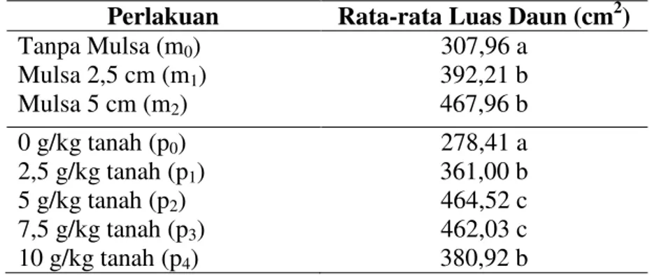 Tabel 3. Rata-rata Luas (cm 2 ) Daun Seledri dengan Perlakuan Mulsa Bambu   dan Pupuk Kohe Kambing 