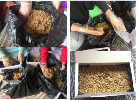 Gambar 3. Pembuatan bibit kompos dari sekam dan dedak Pembuatan Kompos dengan Keranjang Takakura