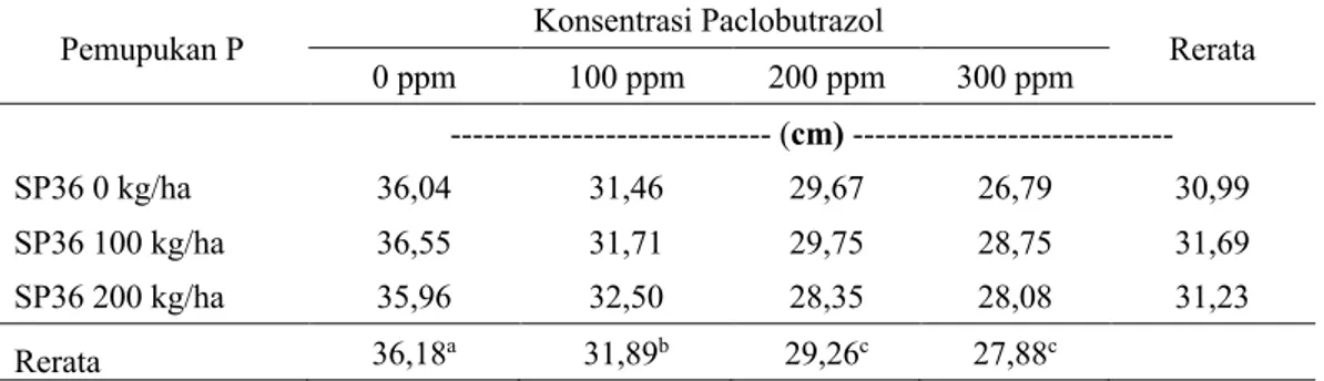 Tabel  1.  Rerata  tinggi  tanaman  kedelai  edamame  (Glycine  max  (L.)  Merril)  pada  dosis  pemupukan  P  dan  konsentrasi 