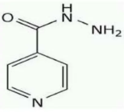 Gambar 2.1 Rumus Struktur Isoniazid  Nama kimia    : Asam isonikotianat hidrazida. 