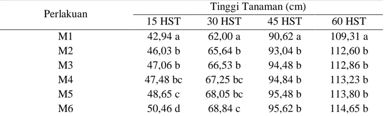 Tabel  2.  Pengaruh  Penggunaan  MOL  Bonggol  Pisang  terhadap  Tinggi  Tanaman  pada Umur 15 HST, 30 HST, 45 HST dan 60 HST 