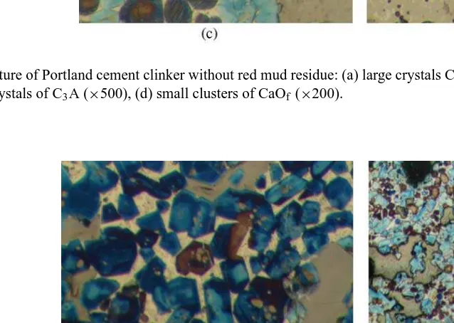 Fig. 5. Microstructure of Portland cement clinker without red mud residue: (a) large crystals C3S, cluster C2S (×500), (b) ﬁnger C2S because of slow cooling(×500), (c) ﬁne crystals of C3A (×500), (d) small clusters of CaOf (×200).