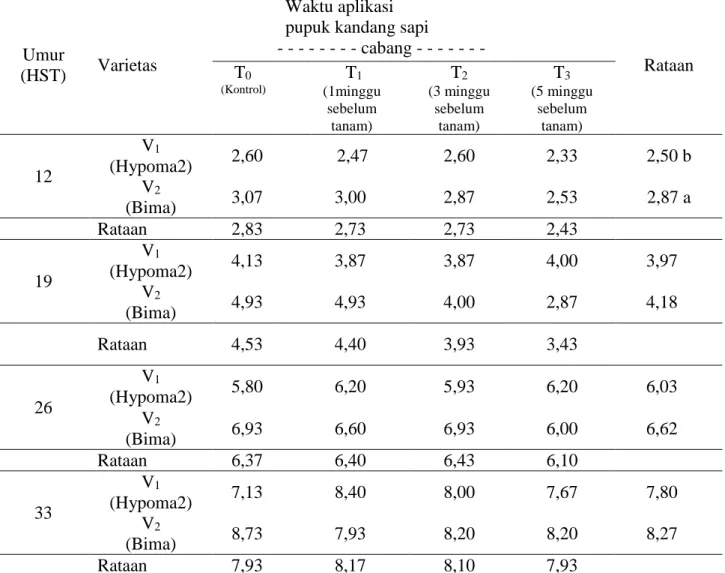 Tabel 2.  Jumlah cabang primer pada varietas danwaktu aplikasi pupuk kandang sapi pada umur 12,  19, 26, dan 33 HST