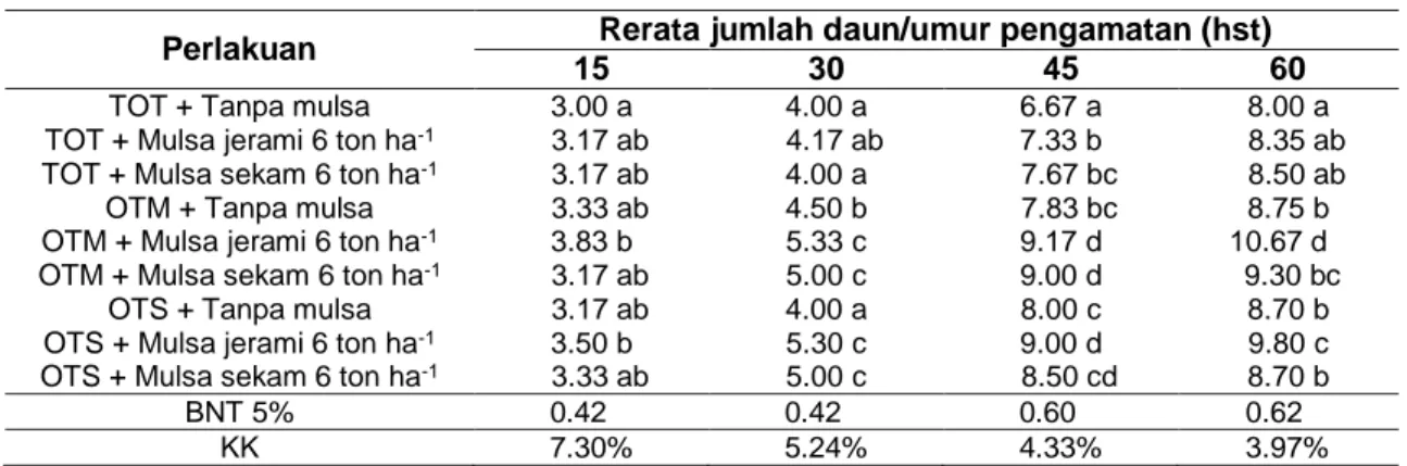 Tabel 2  Rerata Jumlah Daun Akibat Kombinasi Olah Tanah dan Mulsa pada Umur Pengamatan Perlakuan  Rerata jumlah daun/umur pengamatan (hst) 