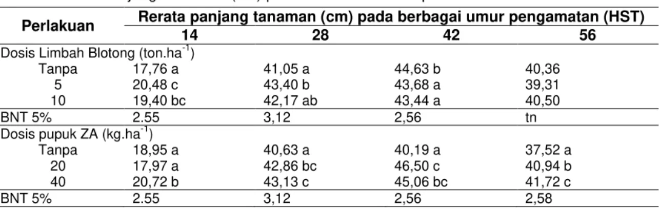 Tabel 3 Rerata Panjang Tanaman (cm) pada Umur 14 hst sampai 56 hst 