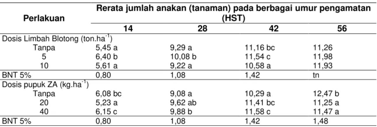 Tabel 8 Rerata Jumlah umbi per Rumpun pada Umur 14 hst sampai 56 hst 