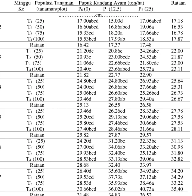 Tabel 1.  Panjang tanaman bawang merah umur  2 - 7 MST pada perlakuan  populasi  tanaman  dan pemberian pukan ayam 