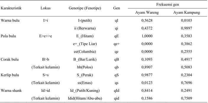 Tabel 4. Frekuensi gen pengontrol karakteristik genetik eksternal pada ayam Wareng dan ayam Kampung  Frekuensi gen 
